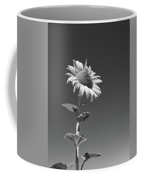 Sunflower Coffee Mug featuring the photograph Tall Sunflower B W by Connor Beekman