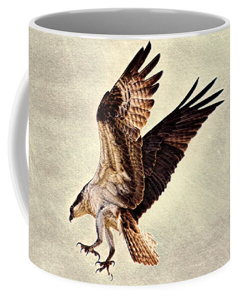 Osprey Coffee Mug featuring the photograph Talons First by Ola Allen