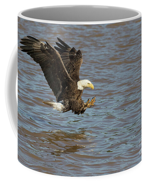 Eagle Coffee Mug featuring the photograph Talons Ready by Art Cole