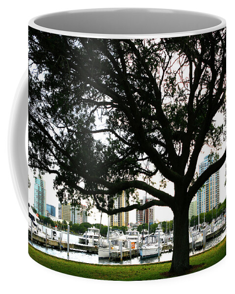 Tampa Coffee Mug featuring the photograph Tampa Shoreline and Skyline Through Tree by Marilyn Hunt