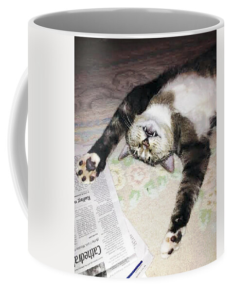 Cat Coffee Mug featuring the photograph Tao by Bob Johnson
