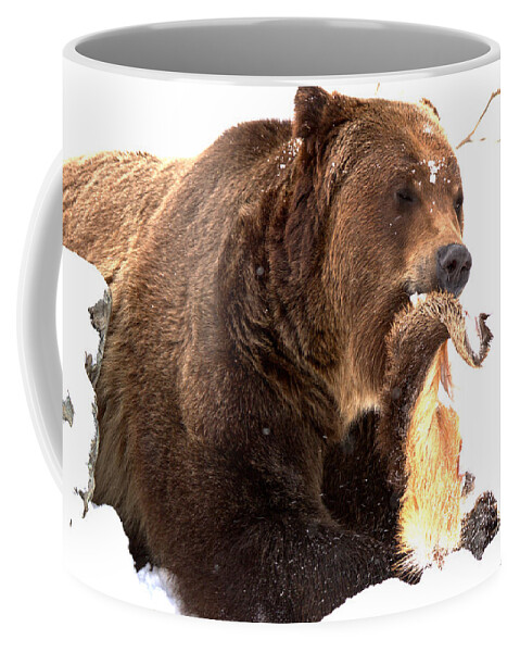 Grizzly Bear Coffee Mug featuring the photograph Tasty Grizzly Catch by Adam Jewell