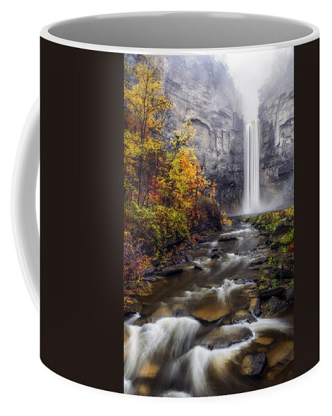 Taughannock Falls Coffee Mug featuring the photograph Taughannock Fog by Mark Papke