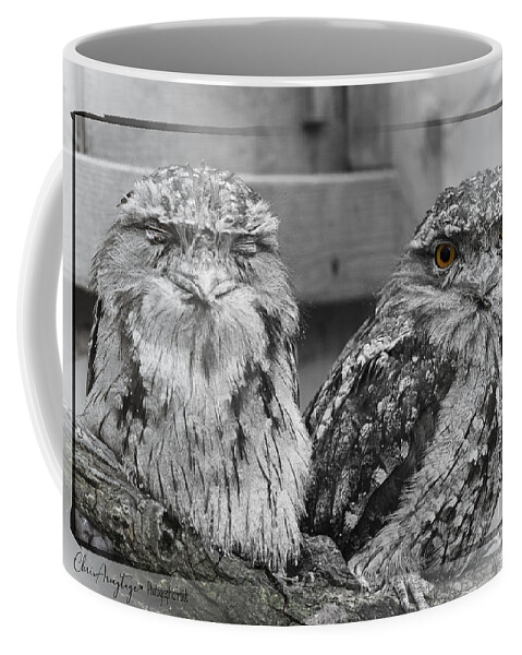 Two Coffee Mug featuring the photograph Tawney Frogmouths by Chris Armytage