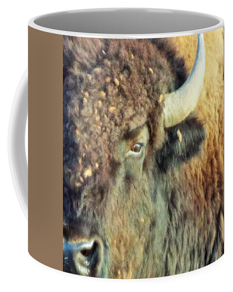 Western Bison Coffee Mug featuring the photograph Tell me more by Michael Dillon