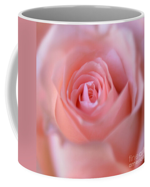 Pink Rose Coffee Mug featuring the photograph Tenderness of Pink Rose by Olga Hamilton