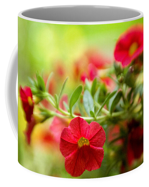 Flowers Coffee Mug featuring the photograph Tequila Sunrise Dreams by Dorothy Lee