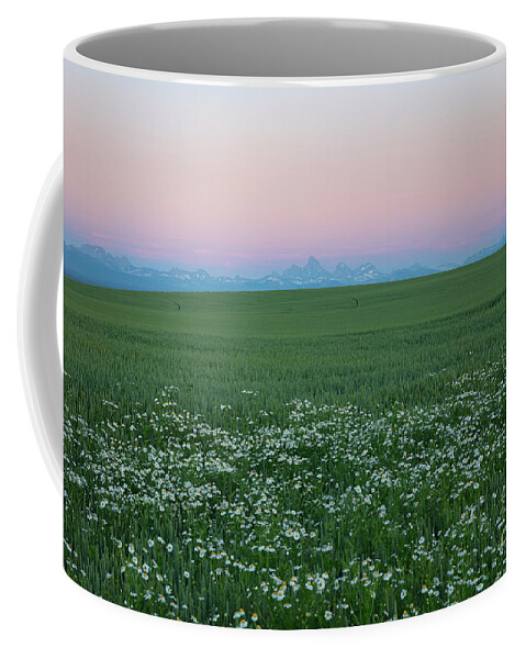 Ashton Coffee Mug featuring the photograph Tetons with Daisies by Idaho Scenic Images Linda Lantzy