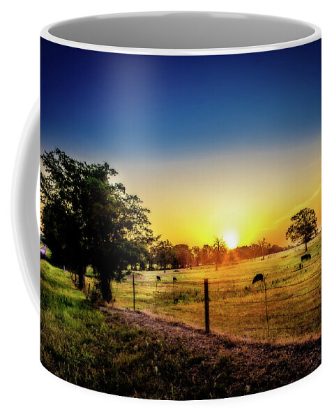 Texas Coffee Mug featuring the photograph Texas at Dawn by Barry Jones