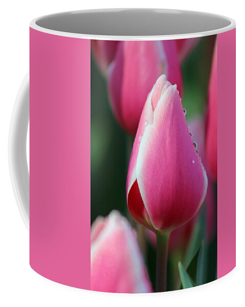 Tulip Coffee Mug featuring the photograph Texas Blooms 107 by Pamela Critchlow