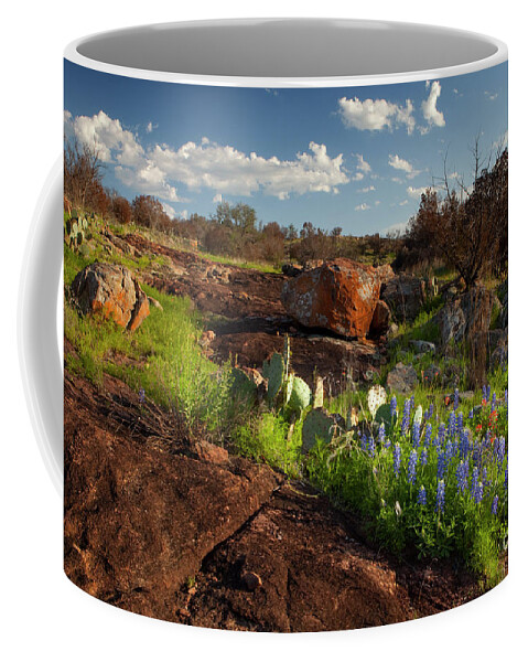 Texas Blue Bonnets Coffee Mug featuring the photograph Texas Blue Bonnets and cactus by Keith Kapple