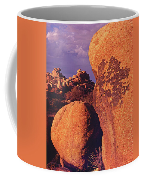 Nature Photography Coffee Mug featuring the photograph Texas Canyon Storm-V by Tom Daniel