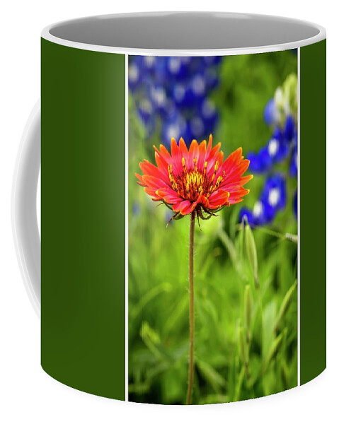 Texas Coffee Mug featuring the photograph Texas Party Girl by Harriet Feagin
