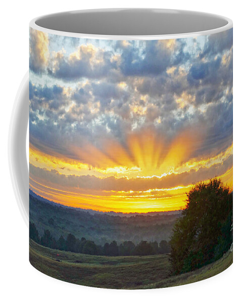 Texas Coffee Mug featuring the photograph Texas Piney Woods Sunrise by Catherine Sherman