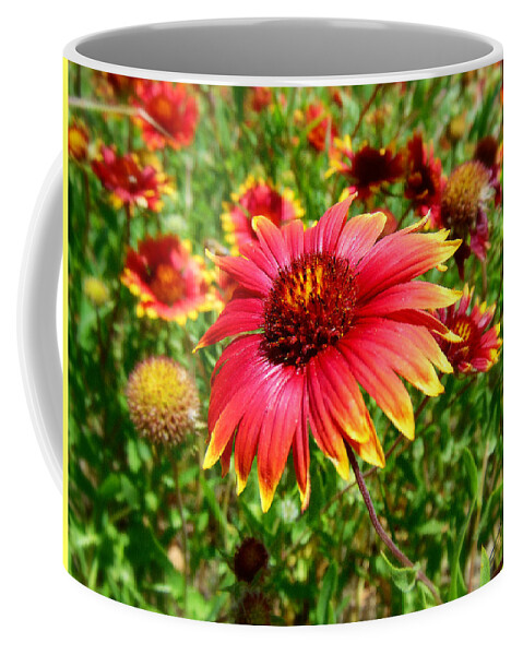 Flower Coffee Mug featuring the photograph Texas Wildflowers by Bryce Clark