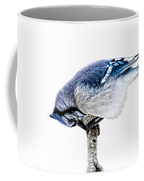 Blue Coffee Mug featuring the photograph Thank You For This Food by Skip Tribby