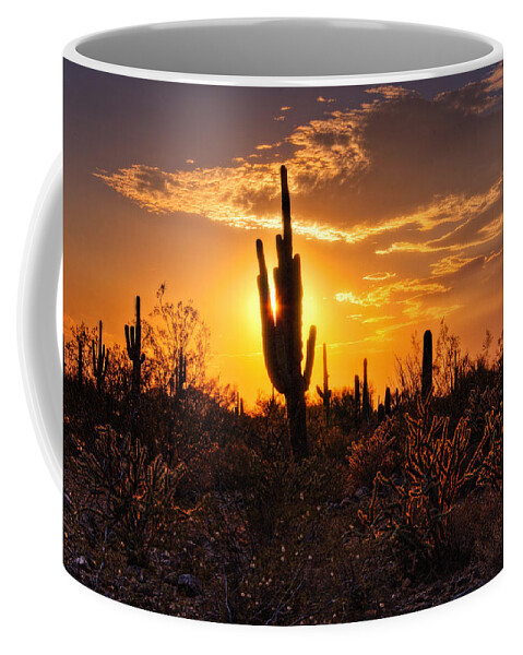 Saguaro Sunset Coffee Mug featuring the photograph That Golden Desert Light by Saija Lehtonen