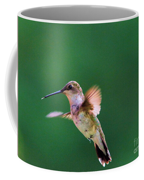 Hummingbird Coffee Mug featuring the photograph That was Yummy by Jeff Swan