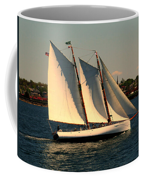 Sailboat Coffee Mug featuring the photograph The Adrondack Newport by Tom Prendergast