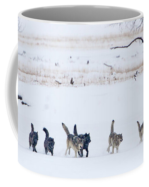 Agate Wolf Coffee Mug featuring the photograph The Agates by Mark Miller