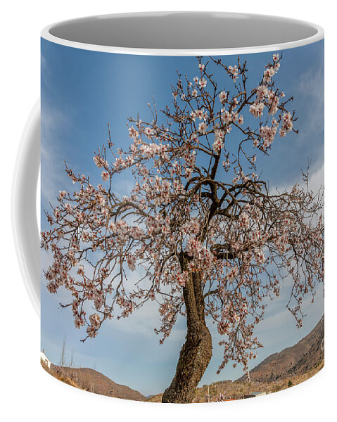 Landscape Coffee Mug featuring the photograph The Almond Tree by Heiko Koehrer-Wagner