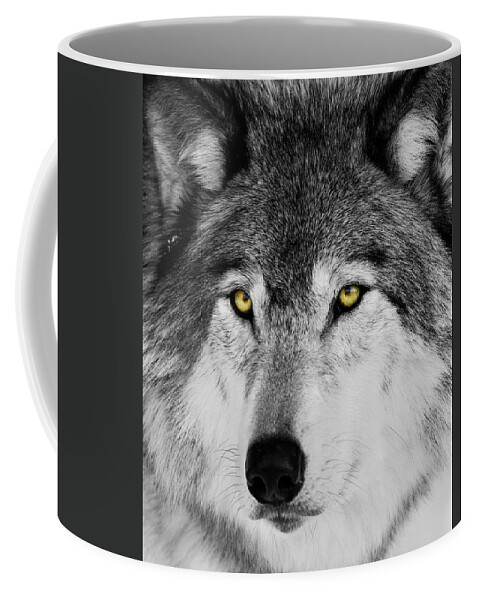Yellow Eyed Wolf Coffee Mug featuring the photograph The Alpha Portrait by Mircea Costina Photography