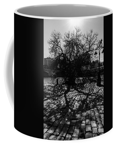 Monochrome Coffee Mug featuring the photograph The ancient tree and its shadow by AM FineArtPrints