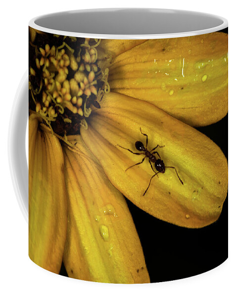 Jay Stockhaus Coffee Mug featuring the photograph The Ant by Jay Stockhaus