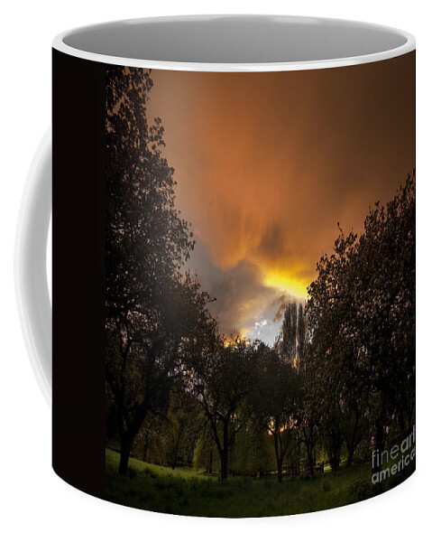 Sunset Coffee Mug featuring the photograph The Apple Trees by Ang El