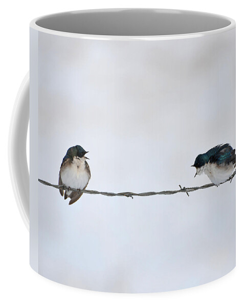 Tree Swallows Coffee Mug featuring the photograph The Argument by Whispering Peaks Photography