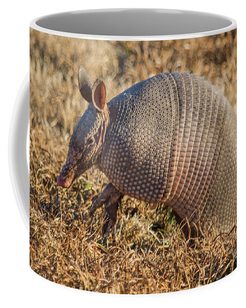 Nature Coffee Mug featuring the photograph The Nine Banded Armadillo by Barry Bohn