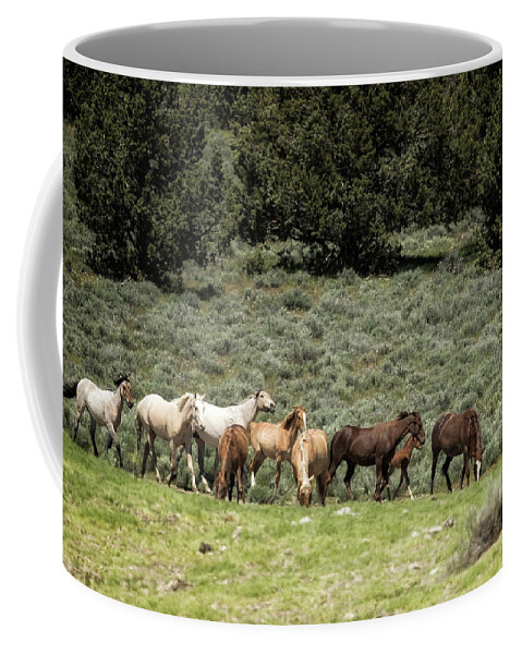 Wild Horses Coffee Mug featuring the photograph The Arrival by Belinda Greb