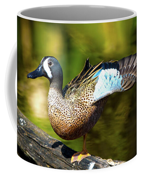 Duck Coffee Mug featuring the photograph The Art of the Fan by Mark Andrew Thomas