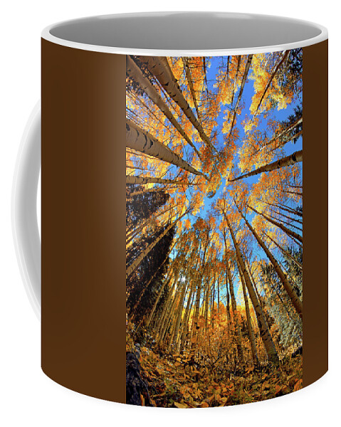 Aspen Trees Coffee Mug featuring the photograph The Aspens Above - Colorful Colorado - Fall by Jason Politte