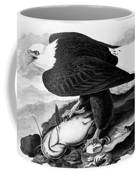 19th Century Coffee Mug featuring the photograph The Bald Eagle by Granger