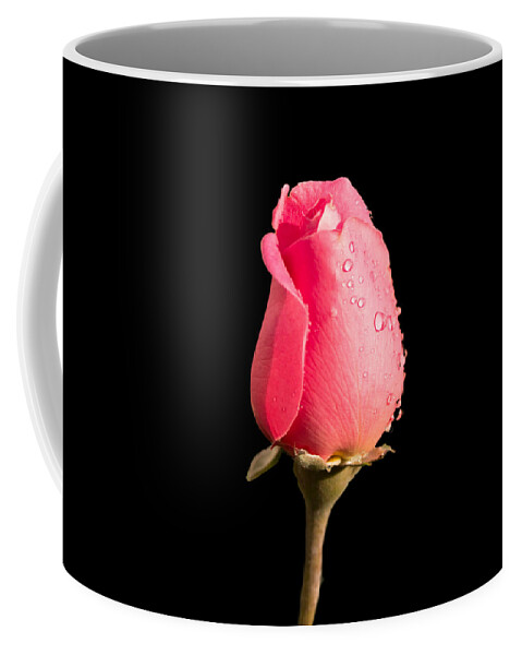 Flower Coffee Mug featuring the photograph The Beauty of a Rose by Ed Clark