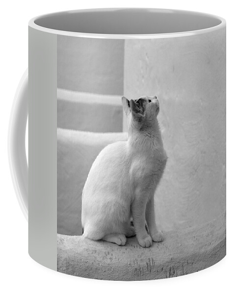 Landscape Coffee Mug featuring the photograph The Blond 4 by Jouko Lehto