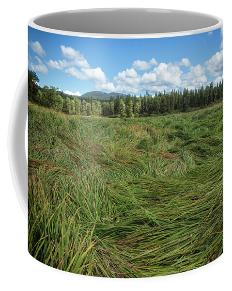Meadow Coffee Mug featuring the photograph The Bottom of Fish Lake by Belinda Greb