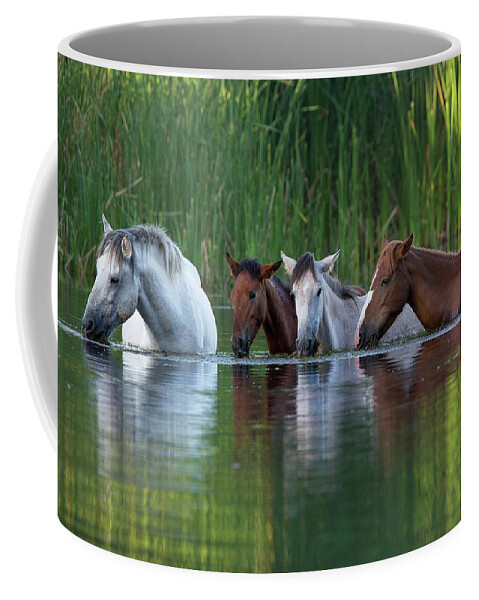 Horses Coffee Mug featuring the photograph The Breakfast Club by Sue Cullumber