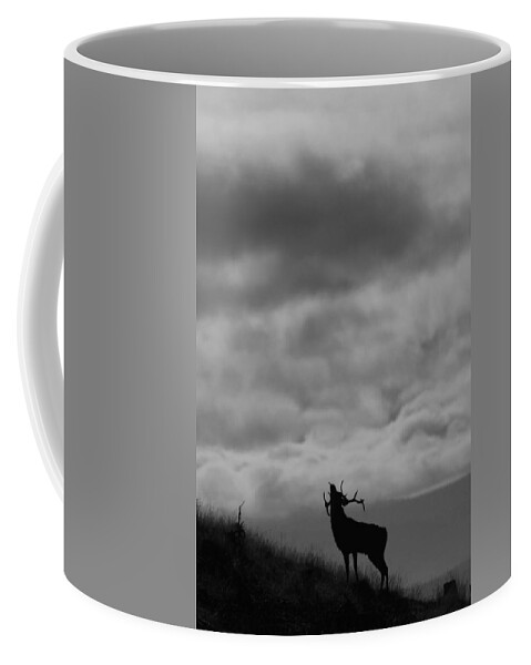 Rutting Stag Coffee Mug featuring the photograph The Call of the North by Gavin MacRae