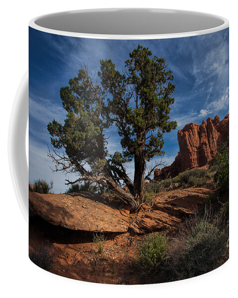 Utah Coffee Mug featuring the photograph The Canyon Trail by Jim Garrison
