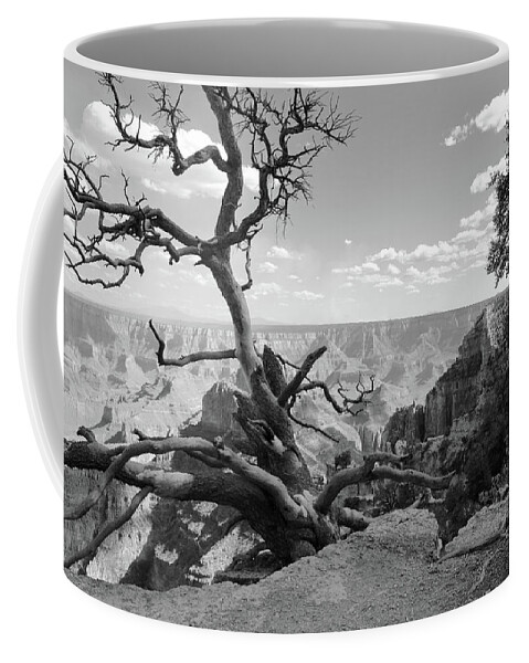 Dead Tree Coffee Mug featuring the photograph The Canyon's Edge BW by David Diaz