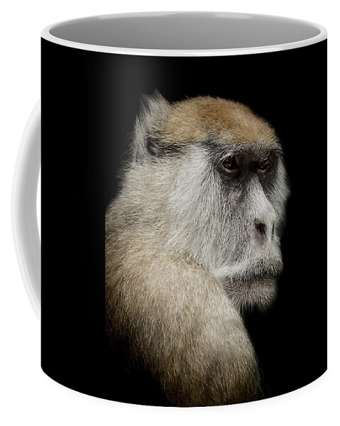 Patas Coffee Mug featuring the photograph The day dreamer by Paul Neville