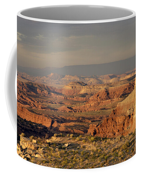 Dead Zone Coffee Mug featuring the photograph The Dead Zone - Utah by DArcy Evans