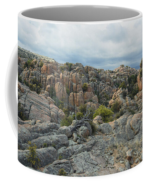Photograph Coffee Mug featuring the photograph The Dells by Richard Gehlbach