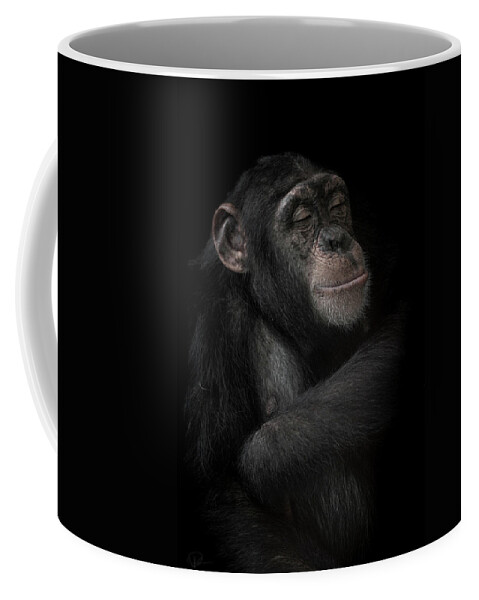 Chimpanzee Coffee Mug featuring the photograph The dream catcher by Paul Neville