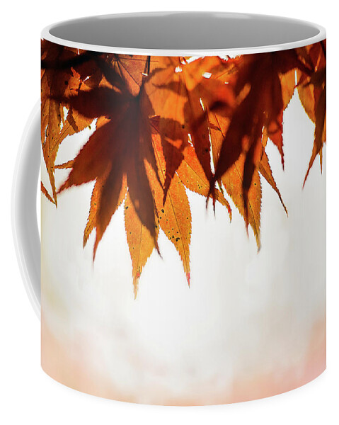 Landscape Coffee Mug featuring the photograph The Eaves Of Season by Gene Garnace