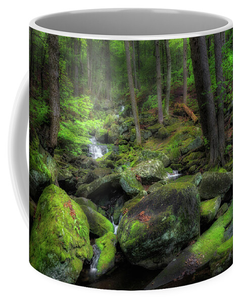 Forest Coffee Mug featuring the photograph The Enchanted Forest by Bill Wakeley