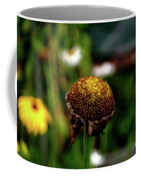 Michelle Meenawong Coffee Mug featuring the photograph The End Of A Black Susan by Michelle Meenawong