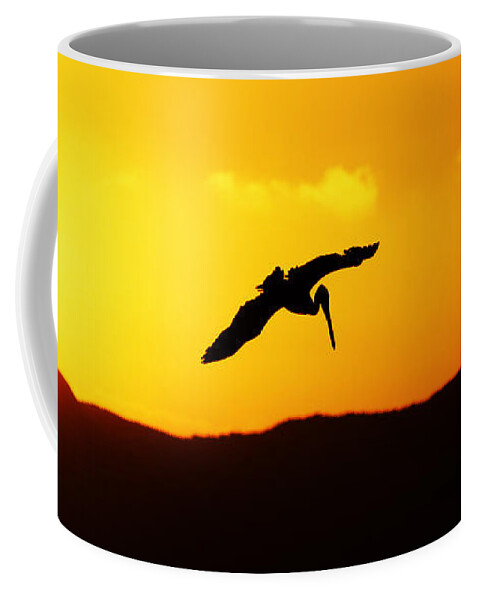 Animals Coffee Mug featuring the photograph The End of the Day -- Brown Pelican at Sunset in Morro Bay State Park, California by Darin Volpe